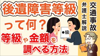 【交通事故の後遺障害等級】等級や金額を自分で調べる方法 [upl. by Lynd]