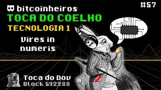 Força nos Números  Toca do Coelho Bitcoin Tecnologia 17 [upl. by Notnert869]