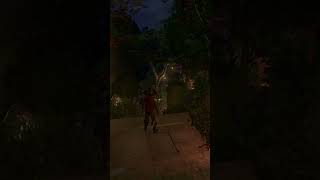 Fox Manor Garden night tour [upl. by Decamp]