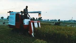 Yanmar combine harvester agrimachine AgriMachines [upl. by Ellynn]