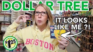 DOLLAR TREE HAUL  THIS IS NEW  FANTASTIC FINDS  125  DT NEVER DISAPPOINTS dollartree haul [upl. by Longerich]