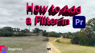 How to Add a Filter in Adobe Premiere Pro VHS Look [upl. by Ateerys]