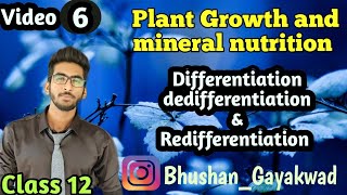 Differentiation Dedifferentiation Redifferentiation  Part 6  Plant Growth and Mineral nutrition [upl. by Aksoyn141]