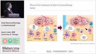 How Immunotherapy is Administered  Part 1 [upl. by Neenej706]