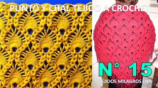 Punto tejido a crochet y Chal N° 15 en V tejidos a crochet en puntos arañitas y garbanzos [upl. by Ahsema324]