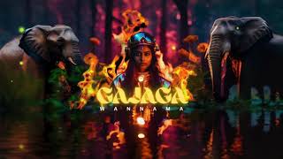 Gajaga Wannama EDM Festival Trap Remix DJ Mass [upl. by Cavan745]