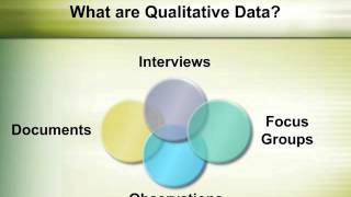 Overview of Qualitative Research Methods [upl. by Engamrahc]