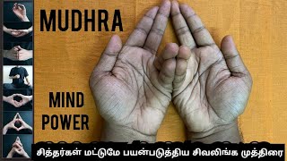 mudhra நினைத்ததை நடக்க வைக்கும் பிரார்த்தனை முத்திரைEXPLAINED BY VINODHAN TAMIL yoga mudhra [upl. by Nehtanhoj]