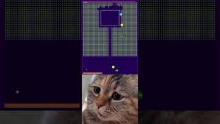 CHIPI CHIPI CHAPA CHAPA cat meme 😄brickmania game short cute cat [upl. by Oisor]