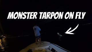 Intense Fight with Huge Tarpon on Fly at Night [upl. by Alyahs]