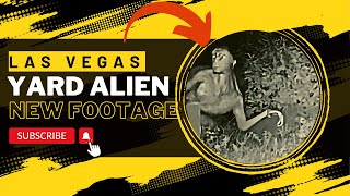 Las Vegas Backyard Alien New Footage Revealed [upl. by Aeel939]