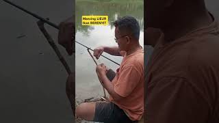 Musimnya ikan BERENYIT di sungai Citanduy Jabar fishing mancing mancingmania shorts [upl. by Aifos]