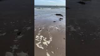 Beadnell Beach  Northumberland [upl. by Llemart637]