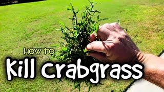 Best Time To Kill Crabgrass  What To Use And Why [upl. by Sherrod]