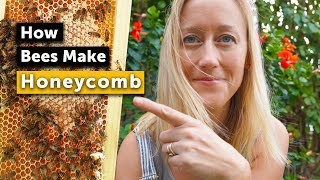 HOW BEES MAKE HONEYCOMB  It Might Surprise You [upl. by Asilanna]