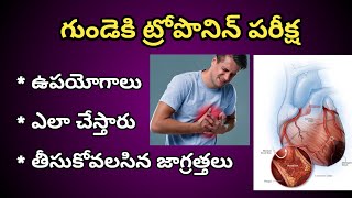 Troponin Test for Heart in Telugu  ట్రోపోనిన్ రక్త పరీక్ష [upl. by Teeniv]