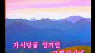 DPRK Music 109 동백꽃 [upl. by Larkin854]