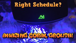 AI Prime HD settingslight schedule for amazing coral growth  Reef tank [upl. by Gnouv]