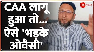 CAA Rules Live Updates सीएए लागू होते ही भड़क गए Asaduddin Owaisi  Citizenship Amendment ActModi [upl. by Kenlay]