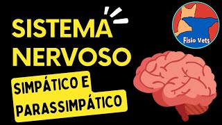 Sistema nervoso autônomo simpático e parassimpático  Fisiologia veterinária [upl. by Ila]