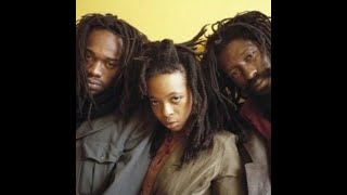 Black Uhuru  Guess Whos Coming To Dinner Captain Bass Cover [upl. by Nnodnarb]