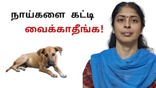 இனி Dog Owners இத செய்ங்க  Street Dogs in Tamil [upl. by Pacificia]