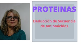 ¿Qué pistas se tienen para ordenar los aminoácidos de una proteína en la secuencia correcta hay2más [upl. by Brotherson738]