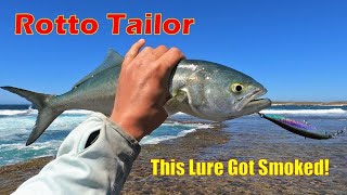 Rotto Reef Mayhem  Tailor on Stickbaits [upl. by Meta]