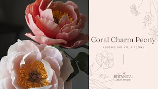 Coral Charm Peony Sugar Flower Tutorial Gumpaste  Flower Paste Assembling Your Peony [upl. by Neyugn]