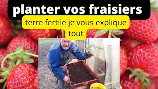 comment planter des fraisiers dans son jardin [upl. by Eimilb]