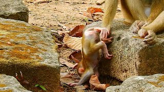 Breaking mom drops baby down stone [upl. by Atika]