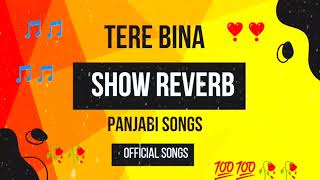 Tere Bina l showed Reverb official songs l sad song punjabi l 2024 🎵🎵💔💔🥀🥀❣️❣️ [upl. by Leffert]