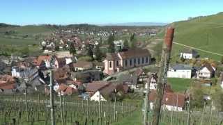 Weinwanderung Durbach [upl. by Alleiram]