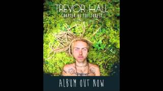 Trevor Hall  Walk Quietly With Lyrics [upl. by Downe]