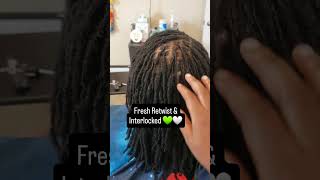 DREADS  Fresh Retwist amp Interlocked 💚🤍 [upl. by Nam]