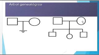 GENÉTICA El árbol genealógico [upl. by Yuk825]