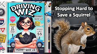 Stopping Suddenly to Save the Squirrel This Weeks Driving Wiz Poll Winner by a Landslide [upl. by Ahsemaj]