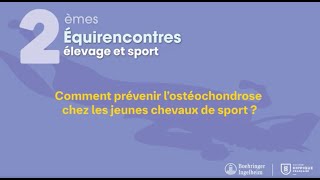 Comment prévenir l’ostéochondrose chez les jeunes chevaux de sport [upl. by Afesoj593]