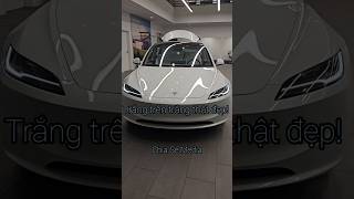 Tesla Model 3 màu trắng toàn bộ [upl. by Golliner]