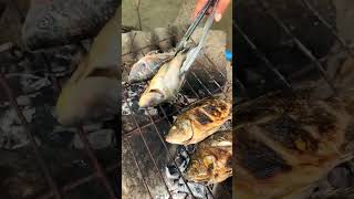 Credito  outdoorcooking outdoorchef outdoorfood outdooreating campfood fish eat survival [upl. by Mandy431]