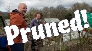 Allotment Gardening Jobs  and Potting On and Sowing [upl. by Certie930]