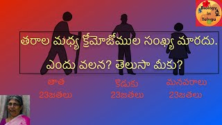 Meiosis in Telugu  class 10 unit ప్రత్యుత్పత్తి [upl. by Stryker]