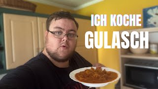 KOCHEN MIT LUCARIO 3  Gulasch [upl. by Reinald867]