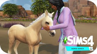 A foal is born  The Sims 4 Horse Ranch  6 [upl. by Aubrie]