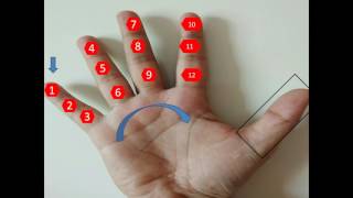 kids math Counting using fingers [upl. by Atteras529]