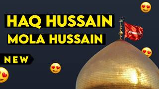 Haq Hussain  Moula Hussain  Imam hussain qawali [upl. by Oiuqise806]