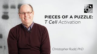 Pieces of a Puzzle TCell Activation [upl. by Drummond]