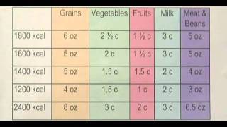 1200 Calorie Diet Plan [upl. by Aihtibat497]