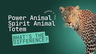 Power Animal Spirit Animal Totem  Whats The Difference [upl. by Terb297]