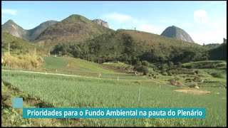 Prioridades para o Fundo Ambiental na pauta do Plenário  180122 [upl. by Suu]